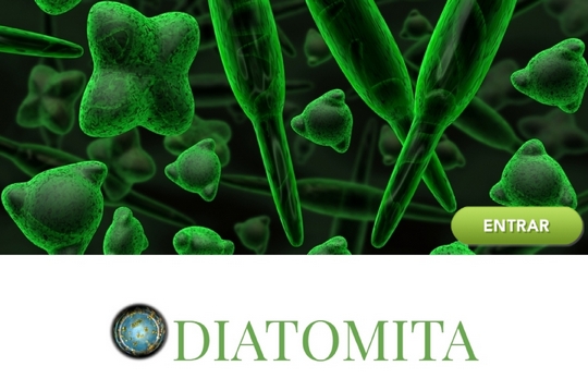 diatomita